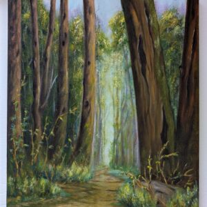 Into the Woods
