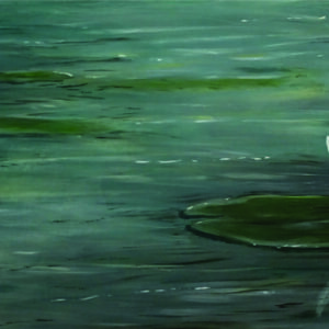 Water Lilies