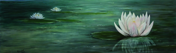 Water Lilies